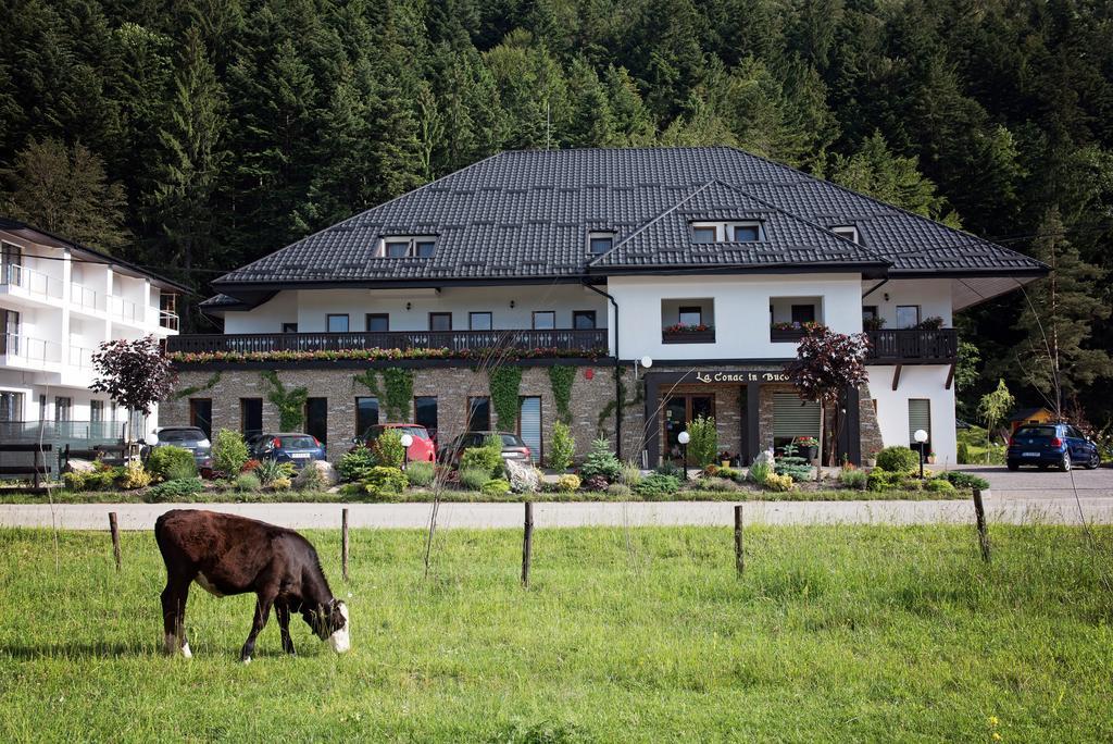 La Conac In Bucovina Otel Gura Humorului Dış mekan fotoğraf